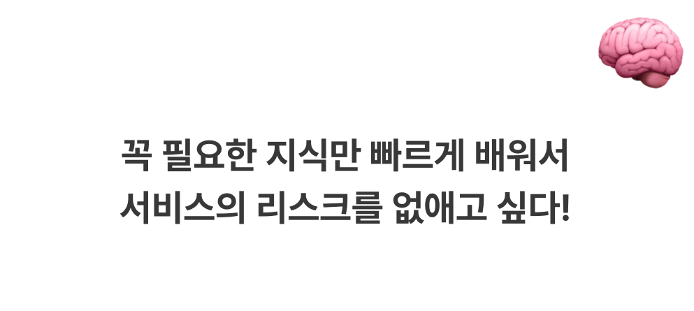 꼭 필요한 지식만 빠르게 배워서
            서비스의 리스크를 없애고 싶다!